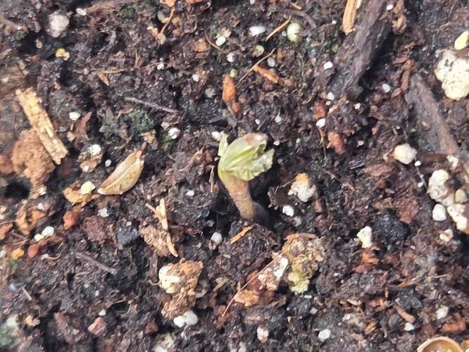 Growreport Bild 20