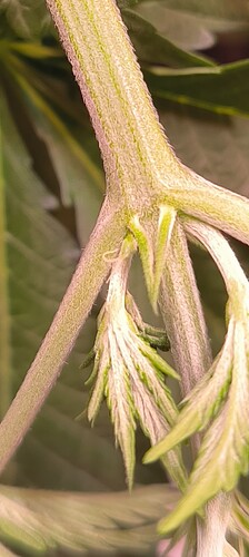Growreport Bild 2