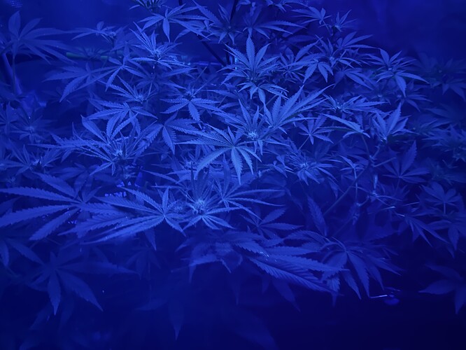 Growreport Bild 25