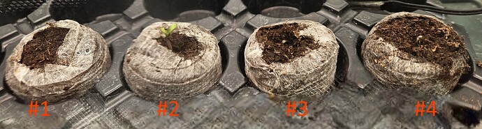20241105_055334