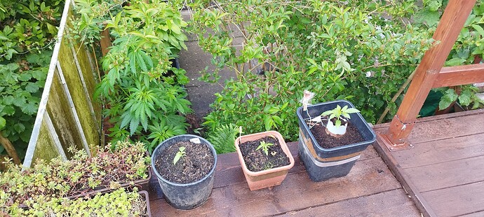 Growreport Bild 12
