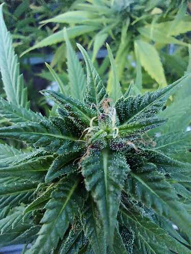 WhatsApp Bild 2024-11-02 um 17.38.16_39e20367