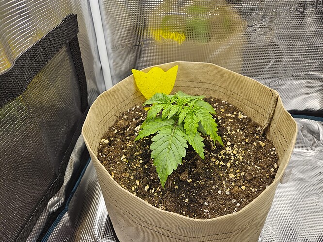 Growreport Bild 21