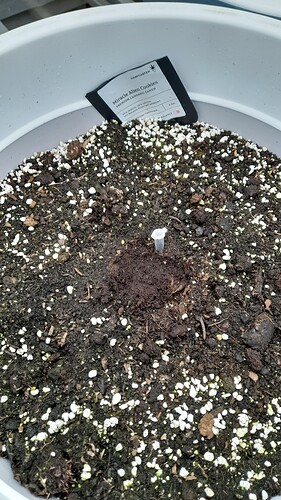 17580146436013060055646859785738