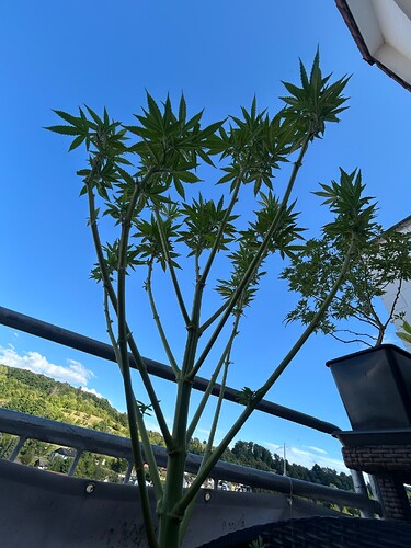 Growreport Bild 2