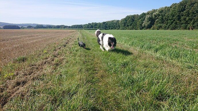 Growreport Bild 8