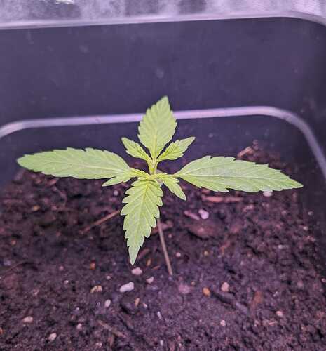 WhatsApp Bild 2024-05-05 um 21.10.03_d1c2d7cd