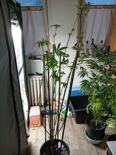 Growreport Bild 14