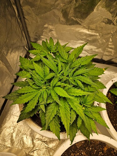 Growreport Bild 13
