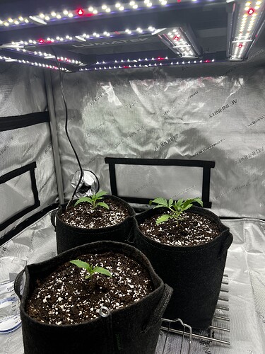 Growreport Bild 1