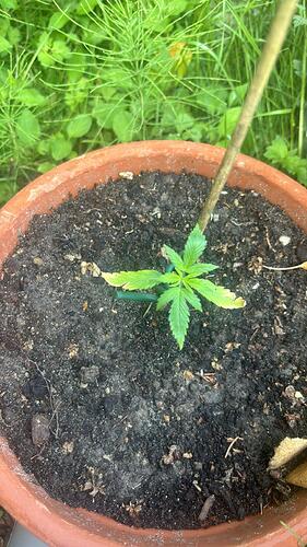 WhatsApp Bild 2024-05-23 um 17.43.38_bf791c53