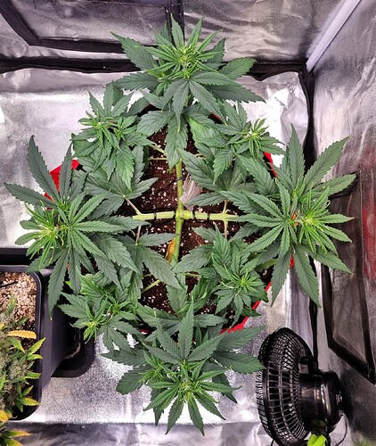 Growreport Bild 21