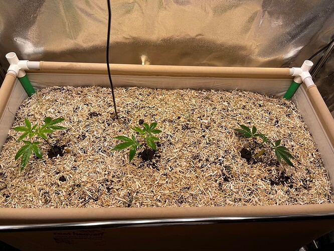 Growreport Bild 16