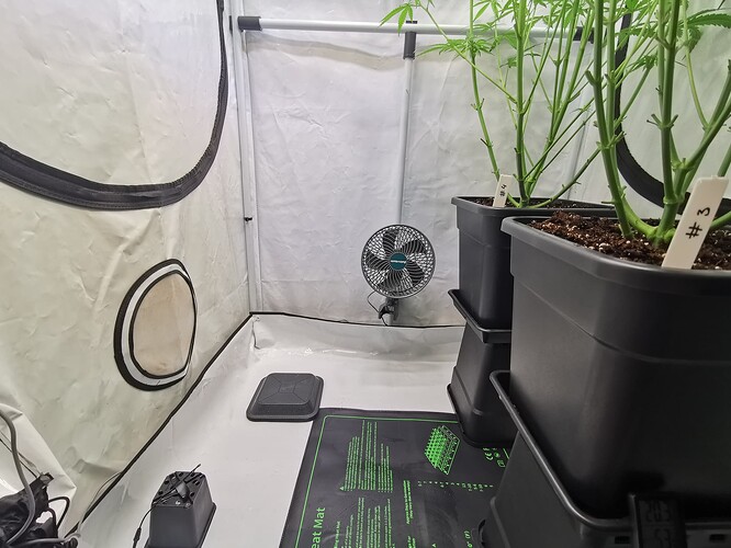 Growreport Bild 10