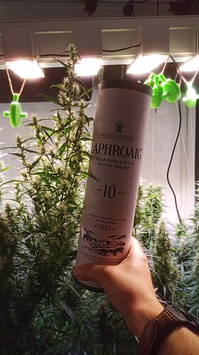 Growreport Bild 7