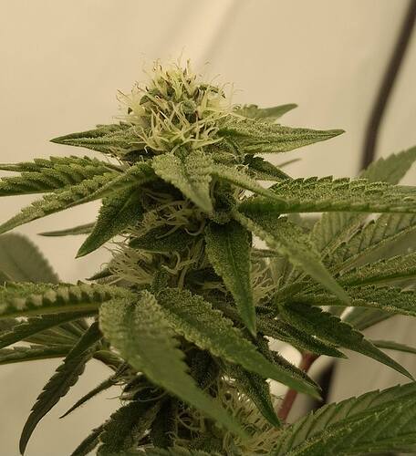 475771146_122165768354293599_8025687161487805521_n