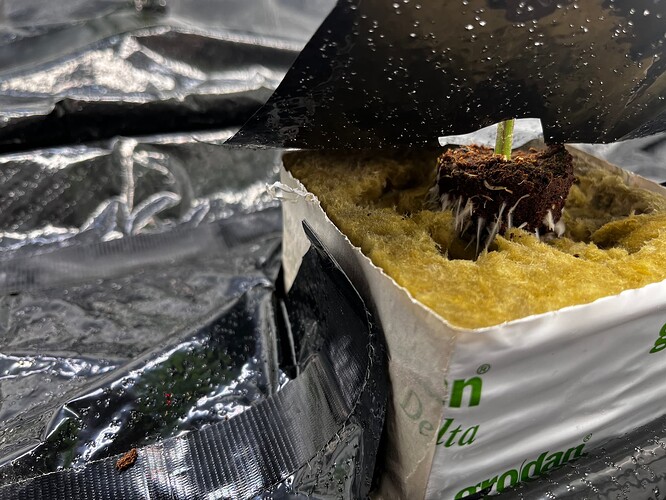 Growreport Bild 24