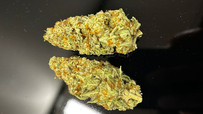 Growreport Bild 13