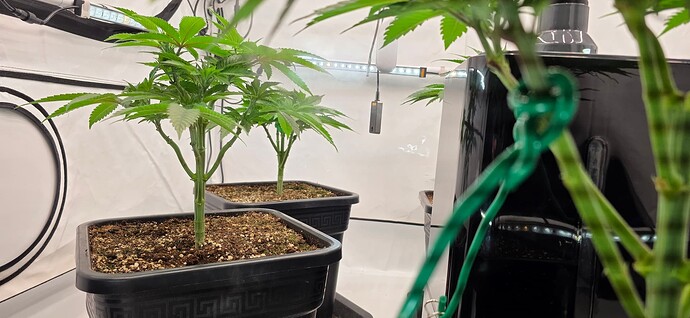 Growreport Bild 24