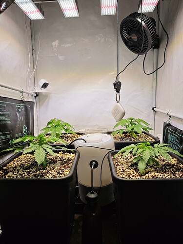 Growreport Bild 16