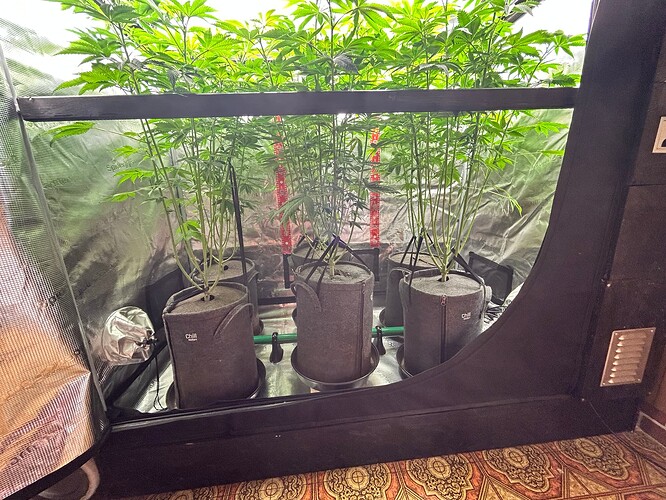 Growreport Bild 26