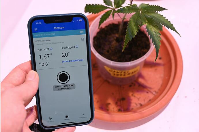 Bildschirmfoto 2025-01-05 um 16.49.10