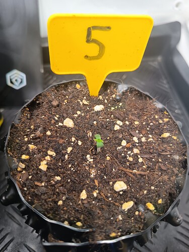 Growreport Bild 27