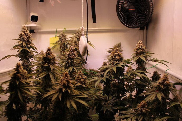 Growreport Bild 19