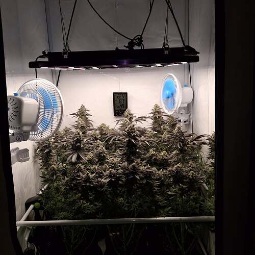 480441580_122169369704293599_8851138745432318991_n