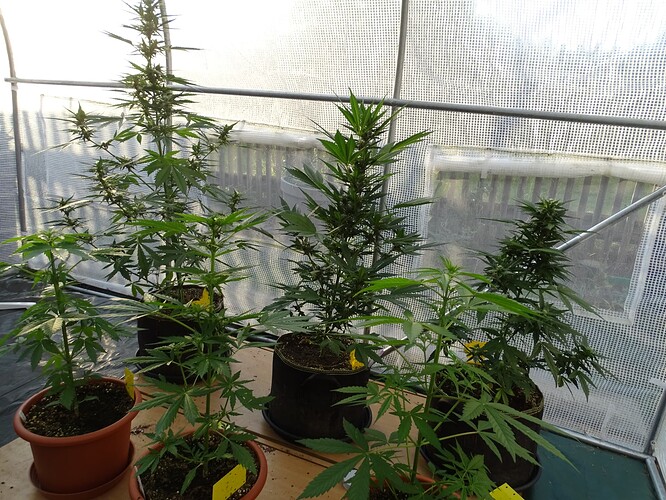 Growreport Bild 1