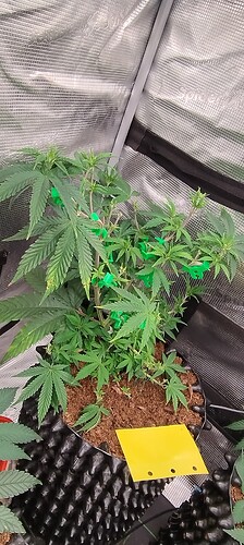 IMG_20251013_092738809