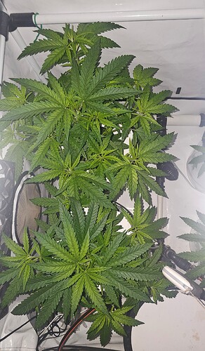 Growreport Bild 9