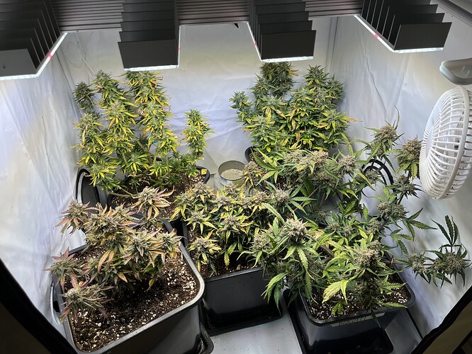 Growreport Bild 1