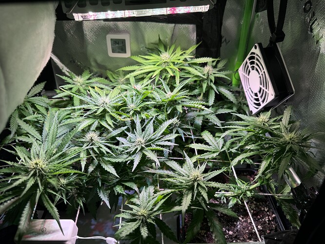 Growreport Bild 1