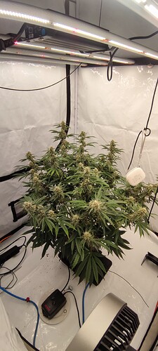 IMG_20250618_011315