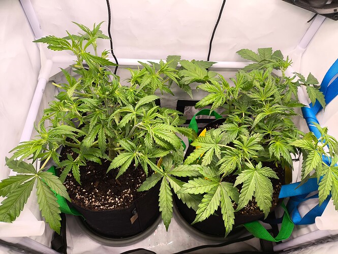 Growreport Bild 23