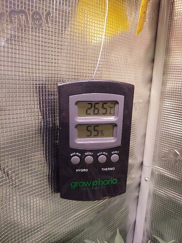 Growreport Bild 15