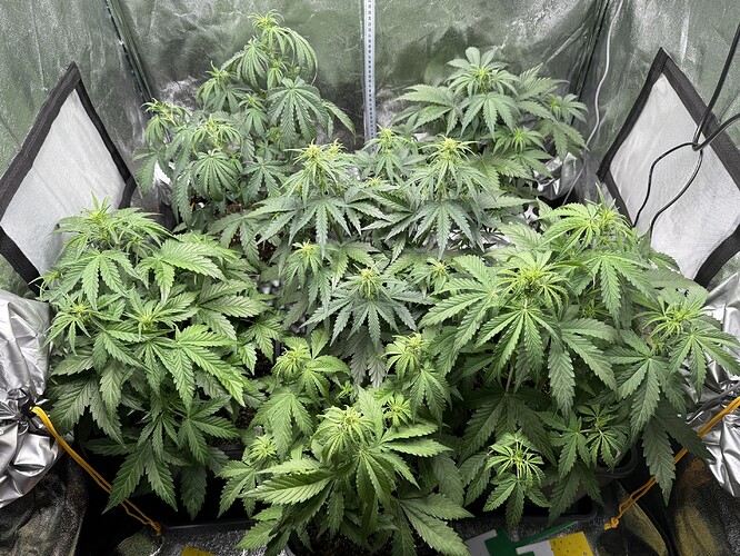Growreport Bild 8