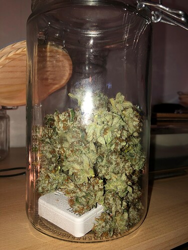 Growreport Bild 81