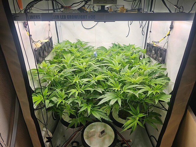 Growreport Bild 4
