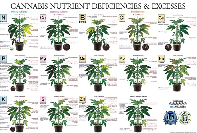 Growreport Bild 4