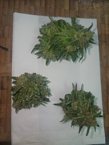 Growreport Bild 4