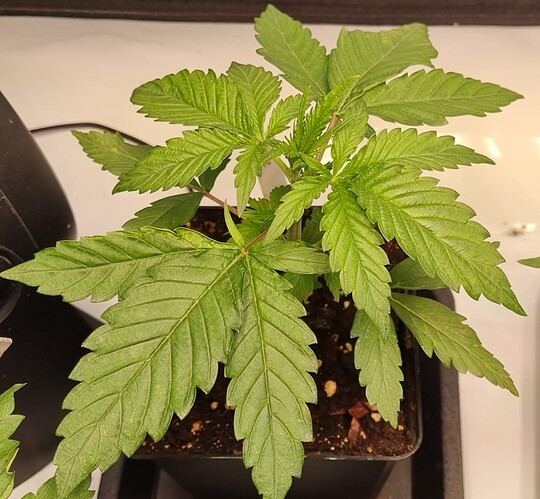 WhatsApp Image 2024-11-10 at 22.06.25 (1)