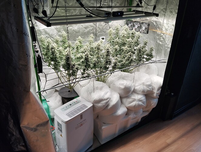 Growreport Bild 4