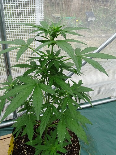 Growreport Bild 16