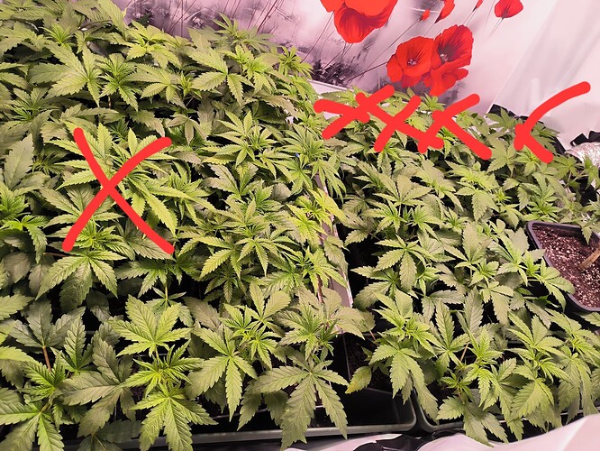 fb60b3359b2585e928ec2f95829a24f799ff2d5a