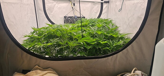 Growreport Bild 4