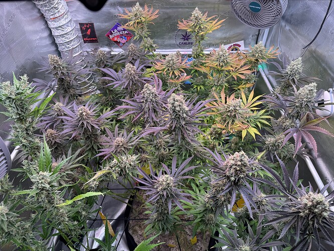 Growreport Bild 8