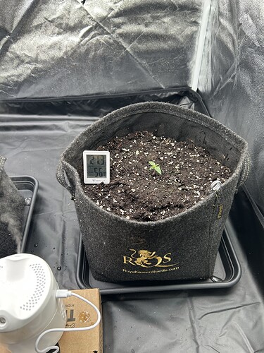 Growreport Bild 1