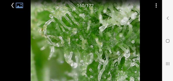 Growreport Bild 11